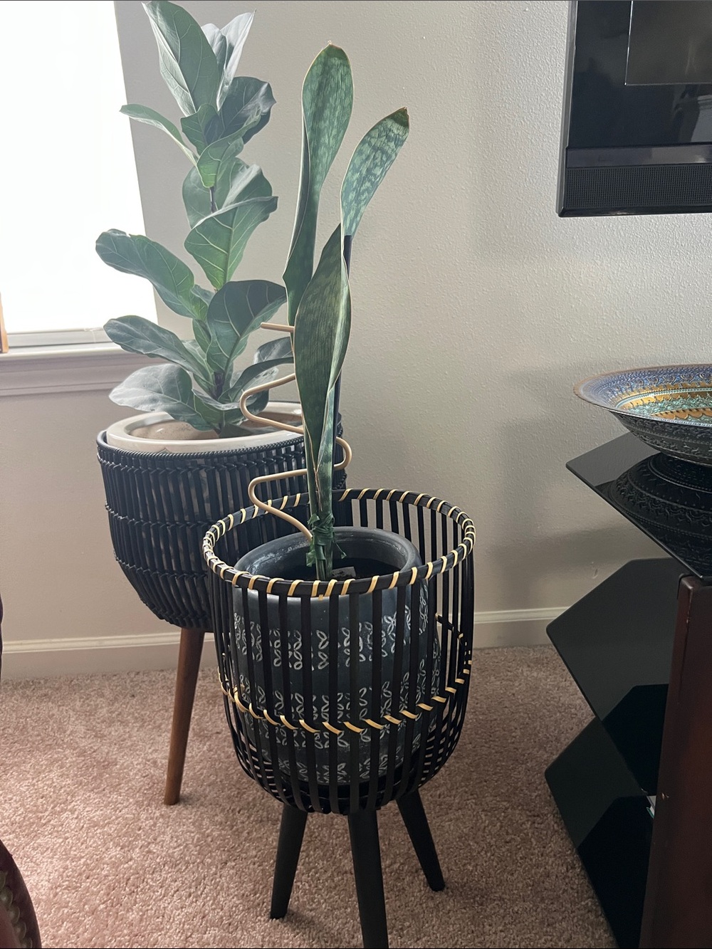 BOHO CHIC
Belavi Black Plant Holder on Stand
Bamboo & Wood
 9.8'' x 9.8'' x 9.8 - Picture 7 of 7